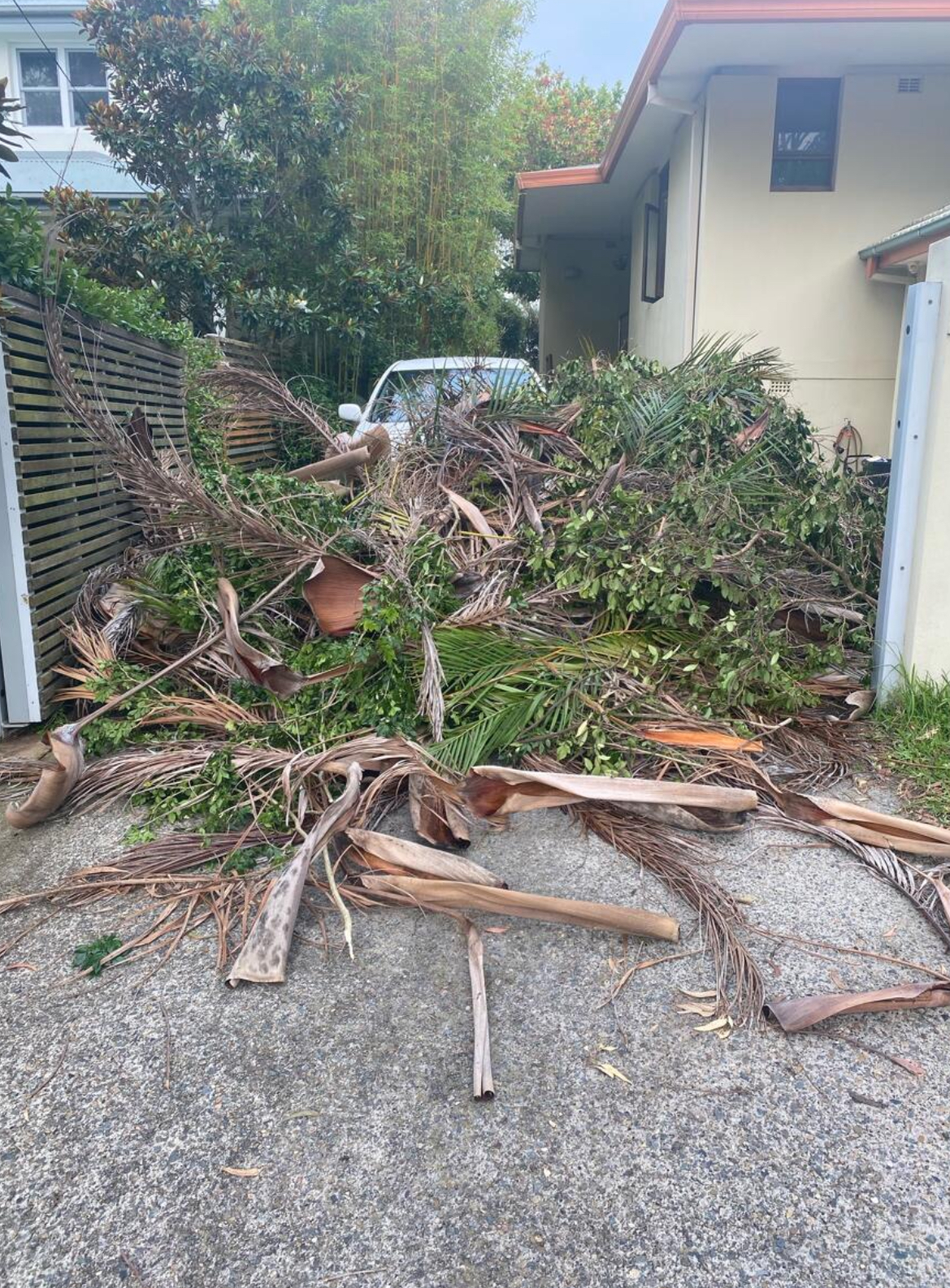 Driveway before OzTeen Rubbish Removals cleared it